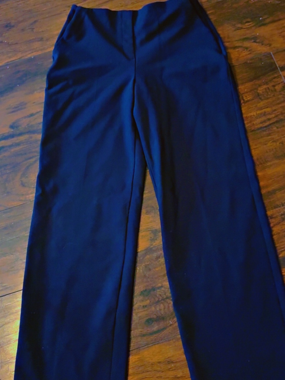Express Navy Wide-Leg Dress Pants